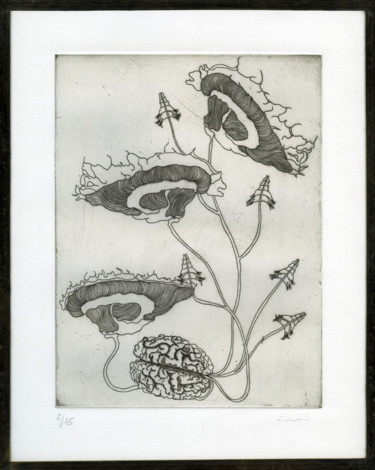 Gravures & estampes intitulée "Nux Lacteus" par Bueb Fanny, Œuvre d'art originale, Eau-forte