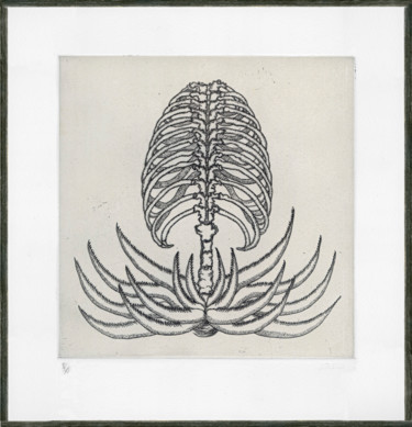 Gravures & estampes intitulée "Aloe Pulmonaria" par Bueb Fanny, Œuvre d'art originale, Eau-forte