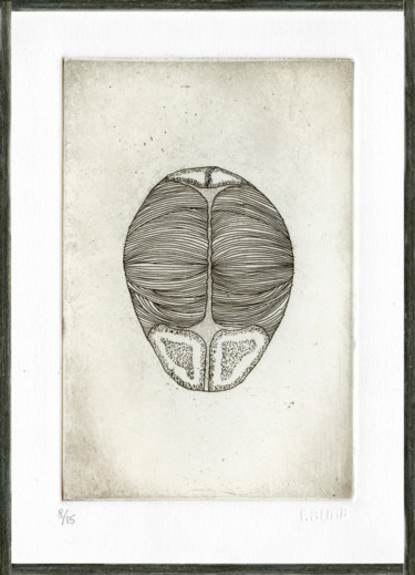 Gravures & estampes intitulée "Echinoidea Cranium…" par Bueb Fanny, Œuvre d'art originale, Eau-forte