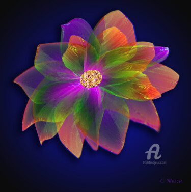 Digital Arts titled "fleurs couleurs exo…" by Christiane Mosca, Original Artwork, Digital Painting