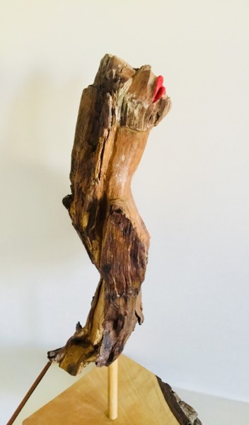 Sculptuur getiteld "Metomorphosis" door Fariba Rahaei, Origineel Kunstwerk, Hout