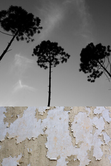 Digitale Kunst getiteld "Decay" door Fatima Fernandes, Origineel Kunstwerk, Foto Montage