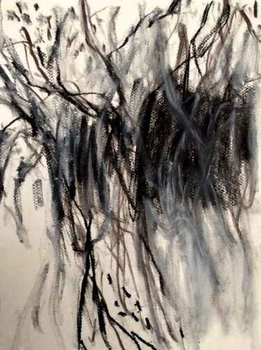 Desenho intitulada "Winter tree ii" por Fatima Fernandes, Obras de arte originais, Carvão