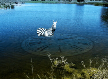 Digitale Kunst mit dem Titel "Zebra on time" von Fatima Fernandes, Original-Kunstwerk, Fotomontage