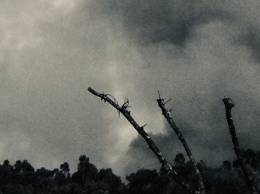 Fotografia intitulada "Cloud of smoke over…" por Fatima Fernandes, Obras de arte originais, Fotografia digital