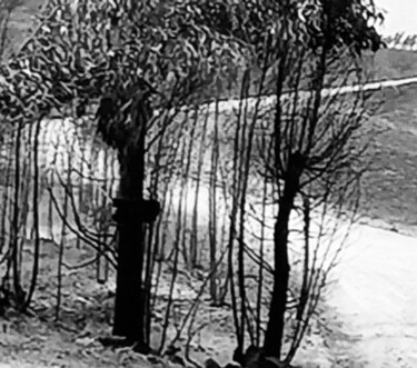 Fotografía titulada "Burnt trees" por Fatima Fernandes, Obra de arte original, Fotografía manipulada
