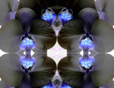 Photographie intitulée "Phalaenopsis" par Maëva Faure, Œuvre d'art originale, Photographie manipulée