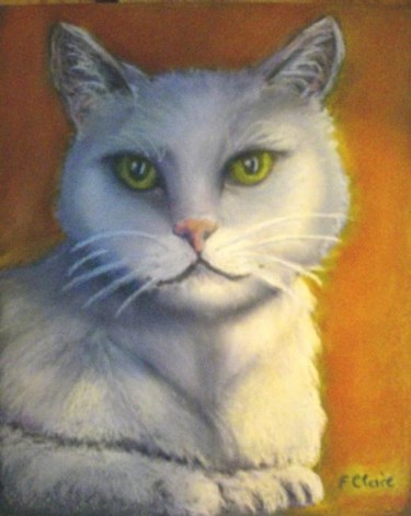 Peinture intitulée "Chat blanc" par F. Claire, Œuvre d'art originale, Huile