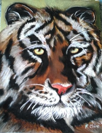Peinture intitulée "Tigre" par F. Claire, Œuvre d'art originale, Huile