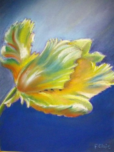 Painting titled "Tulipe" by F. Claire, Original Artwork, Oil