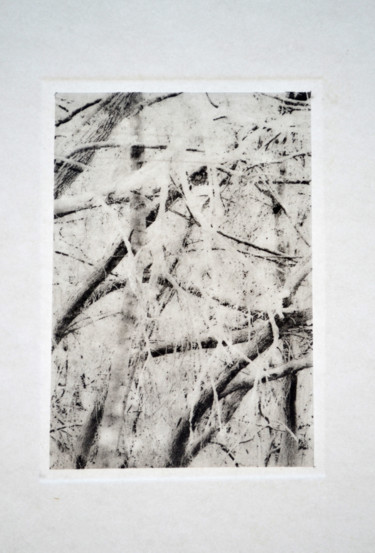 Prenten & gravures getiteld "lianes" door François Crinel, Origineel Kunstwerk, Gravure