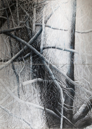 Rysunek zatytułowany „Grand maquis 1” autorstwa François Crinel, Oryginalna praca, Węgiel drzewny