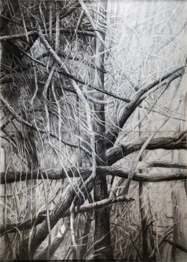 Drawing titled "Grand maquis 2" by François Crinel, Original Artwork, Charcoal