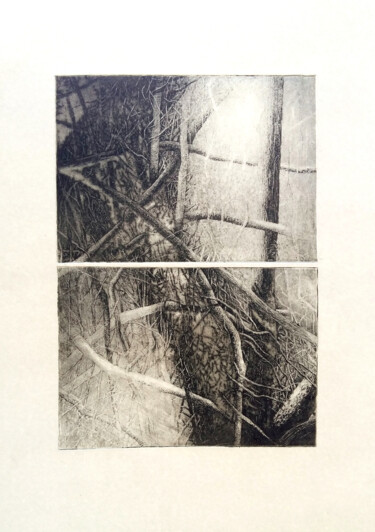 Estampas & grabados titulada "Maquis de cocino 2" por François Crinel, Obra de arte original, Grabado