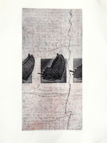 Dessin intitulée "Désir d' envol" par François Crinel, Œuvre d'art originale, Gravure