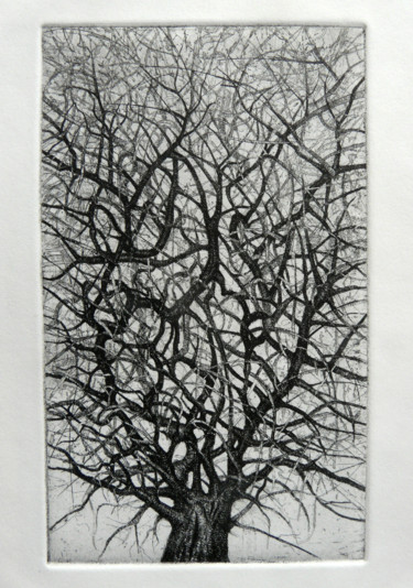 Gravures & estampes intitulée "arbre 3" par François Crinel, Œuvre d'art originale, Eau-forte