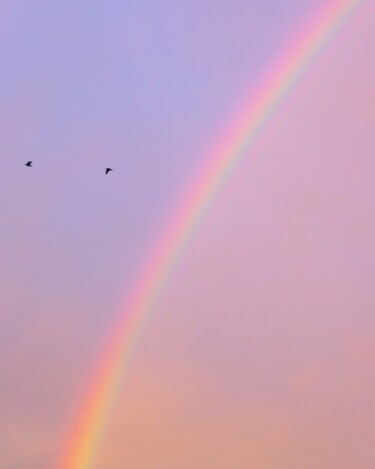 Photographie intitulée "Rainbow" par Feedeluz, Œuvre d'art originale, Photographie numérique