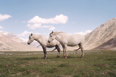 Fotografia intitolato "Sans titre, chevaux" da Federico Frangi, Opera d'arte originale, Fotografia manipolata