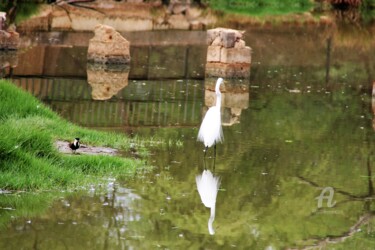 Fotografie mit dem Titel "Art&Reflet" von Féemerode, Original-Kunstwerk