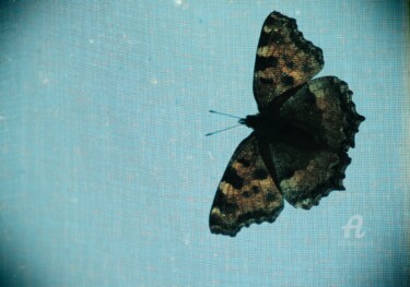 Fotografie mit dem Titel "Papillon&Blue" von Féemerode, Original-Kunstwerk, Manipulierte Fotografie