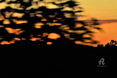 Photographie intitulée "Ciel&Puzzle Naturel" par Féemerode, Œuvre d'art originale