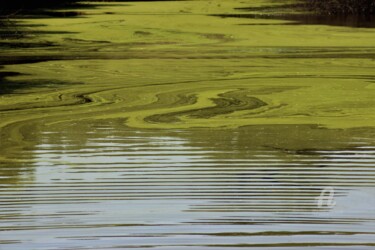 Photographie intitulée "Mar'Hé Verte" par Féemerode, Œuvre d'art originale, Photographie non manipulée