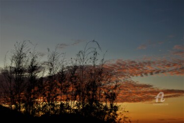 Photography titled "Croc'Ho Ciel" by Féemerode, Original Artwork, Non Manipulated Photography