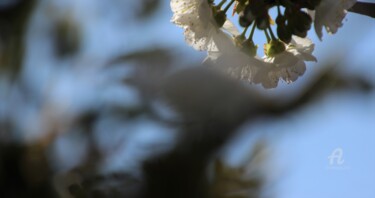 Fotografia intitulada "Un'S'Temps Magique" por Féemerode, Obras de arte originais, Fotografia Não Manipulada