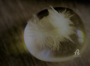 Photographie intitulée "Ange&Tite Plume Bla…" par Féemerode, Œuvre d'art originale, Photographie non manipulée