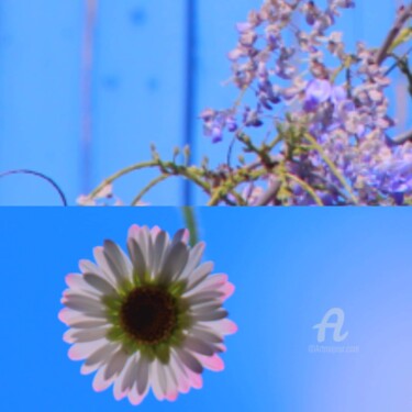 Photographie intitulée "L'an"Vertige"Blue" par Féemerode, Œuvre d'art originale, Photographie manipulée