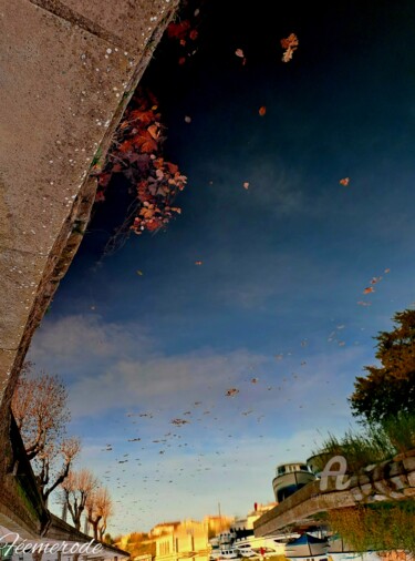 "Symphonie Nature" başlıklı Fotoğraf Féemerode tarafından, Orijinal sanat, Fotoşopsuz fotoğraf