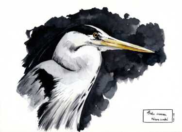 Peinture intitulée "Heron-cendre.jpg" par Feldrik Rivat, Œuvre d'art originale, Aquarelle