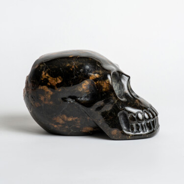 Sculpture titled "Calavera viva" by Felipe Cesar D'Oliveira, Original Artwork, Stone