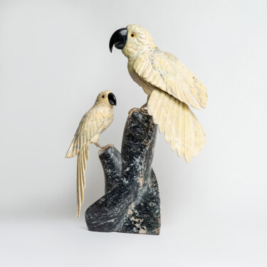 Escultura intitulada "Pareja de Loros" por Felipe Cesar D'Oliveira, Obras de arte originais, Pedra