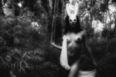 Fotografia zatytułowany „Mistérios da Selva…” autorstwa Felipe Hueb, Oryginalna praca, Fotografia cyfrowa