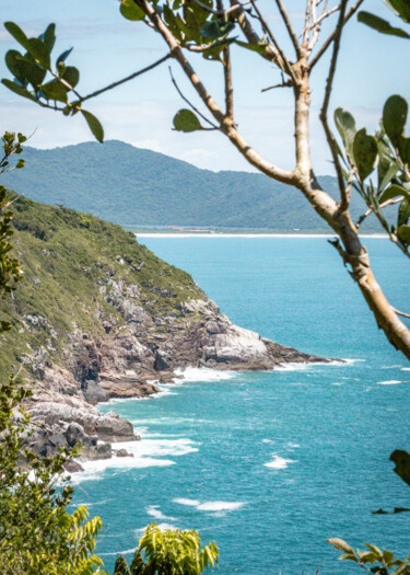 Trilha Praia Lagoinha do Leste Florianópolis 3 Fotografía titulada "Trilha Praia Lagoin…" por Felipe Tavares, Obra de arte original, Fotografía digital