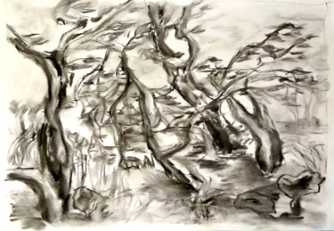 Drawing titled "Танцующие яблони." by Irina Dubinina, Original Artwork, Charcoal