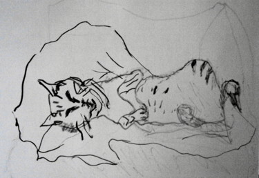 Dessin intitulée "Спящий кот." par Irina Dubinina, Œuvre d'art originale, Encre