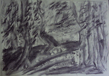 Рисунок под названием "Деревья на берегу." - Irina Dubinina, Подлинное произведение искусства, Древесный уголь