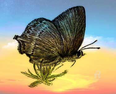 Arte digital titulada "Mariposa 1" por Fernando Barreiro Rios, Obra de arte original, Pintura Digital