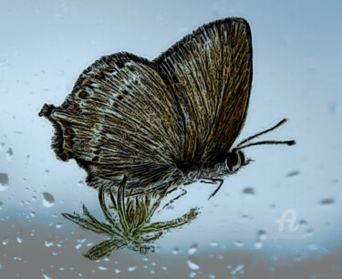 Digital Arts titled "Mariposa 2" by Fernando Barreiro Rios, Original Artwork, 2D Digital Work