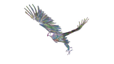 Цифровое искусство под названием "Eagle" - Ferhat Korkmazcan, Подлинное произведение искусства, Цифровая живопись