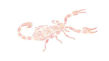 Arts numériques intitulée "Scorpion" par Ferhat Korkmazcan, Œuvre d'art originale, Travail numérique 2D