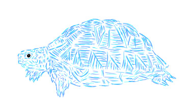 Arts numériques intitulée "Tortoise" par Ferhat Korkmazcan, Œuvre d'art originale, Travail numérique 2D