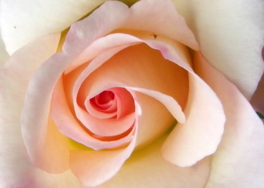 Photographie intitulée "TOURBILLON ROSE" par Fernand Piaroux, Œuvre d'art originale