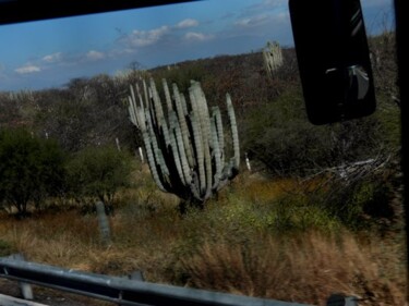 Fotografia intitulada "Mexico 2010 29" por Fernanda Carvalho, Obras de arte originais