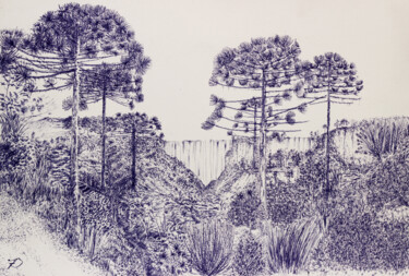 Pittura intitolato "Araucarias" da Fernando Bressan, Opera d'arte originale, Biro