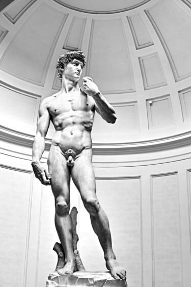 Фотография под названием "David by Miguel Ang…" - Fernando David Amador De Paz, Подлинное произведение искусства, Цифровая ф…