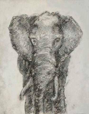 Malarstwo zatytułowany „The great elephant…” autorstwa Fernando Josei Kanashiro Pereira, Oryginalna praca, Węgiel drzewny