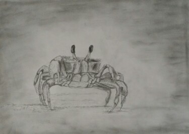 Disegno intitolato "The crab" da Fernando Josei Kanashiro Pereira, Opera d'arte originale, Grafite